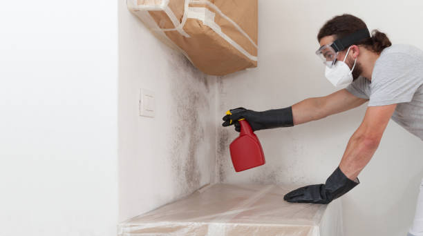 Professional Mold Remediation technician working in Holley, NY