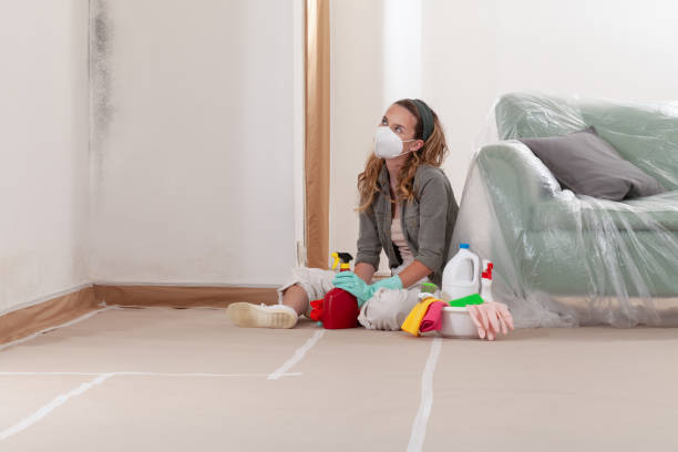 Reliable Mold Remediation contractor in Holley, NY by 24 Hour Mold Removal
